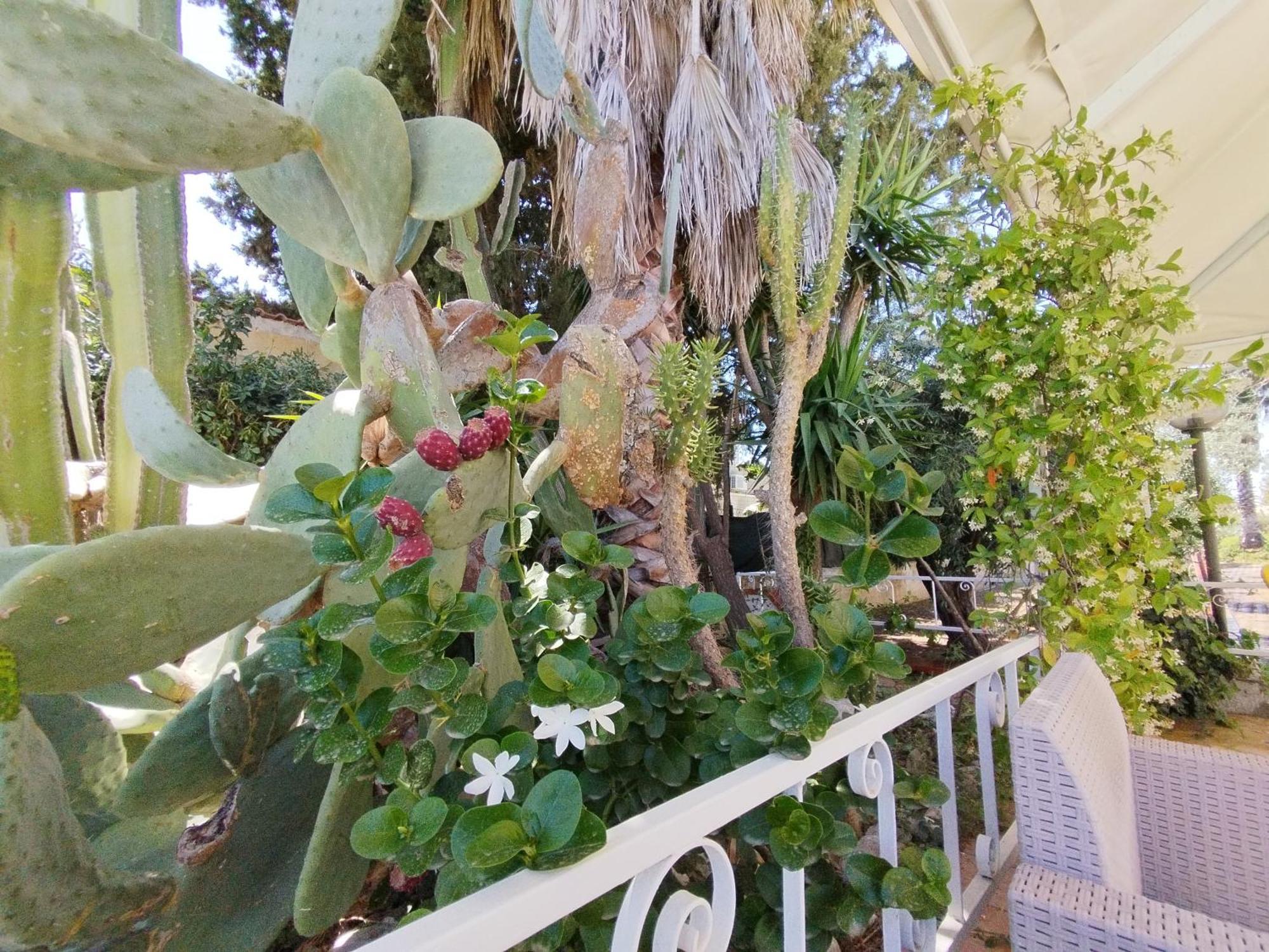 Casa Di Lu' Floridia Exterior foto